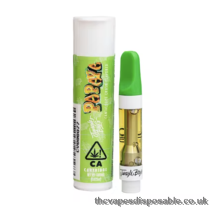JUNGLE BOYS PAPAYA UK