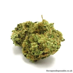 Afgoo Marijuana Strain UK