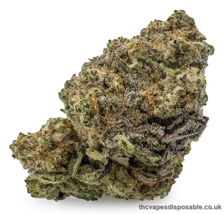 Animal Cookies Cannabis Strain UK