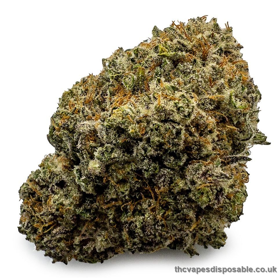 Astro Cookies Weed Strain UK