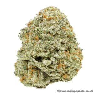 Atomic Bomb Strain Weed Strain UK