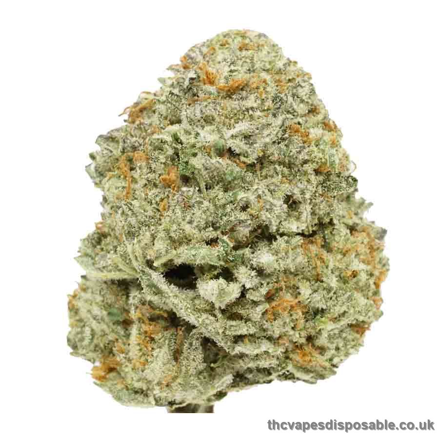 Atomic Bomb Strain Weed Strain UK