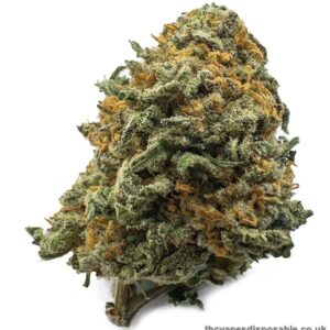 Black Cherry Gelato Weed UK