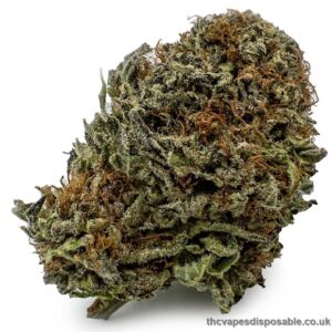 Black Diamond Weed Strain UK