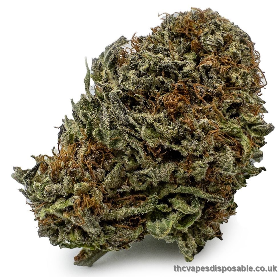 Black Diamond Weed Strain UK