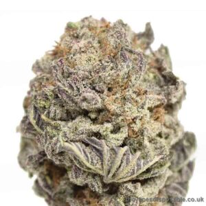 Black Gas Mask x Lavender Strain UK
