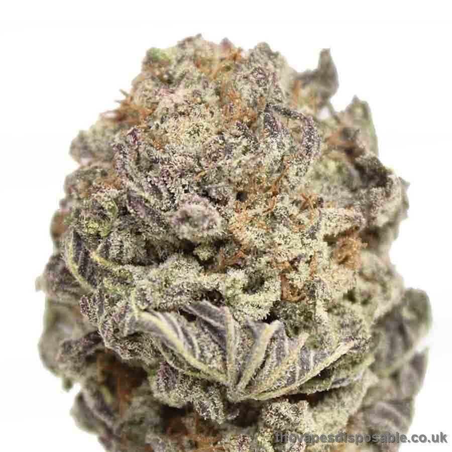 Black Gas Mask x Lavender Strain UK