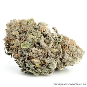 Blackwater Cannabis Strain UK