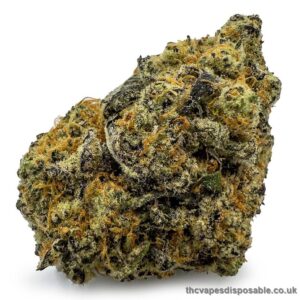 Blow Pop Marijuana Strain UK