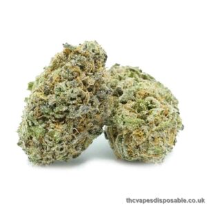 Blue Coma Strain Cannabis UK