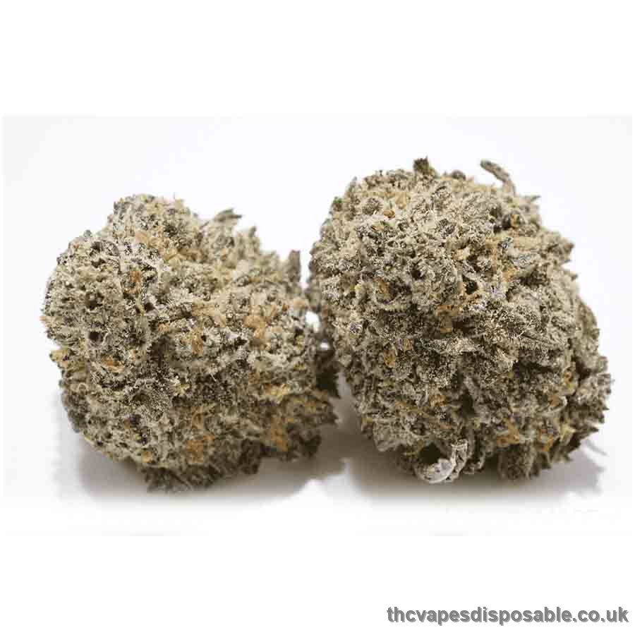 Blueberry Skunk Weed Strain UK