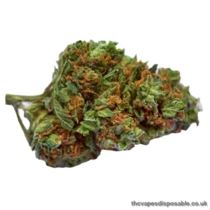 Bubba Kush Weed Strain UK