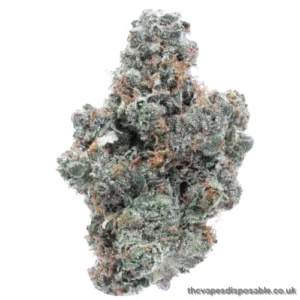 Buy Purple Kush Indica Weed UK