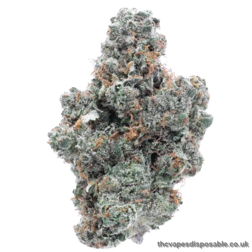 Buy Purple Kush Indica Weed UK