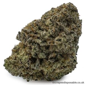 Dolato Marijuana Strain UK
