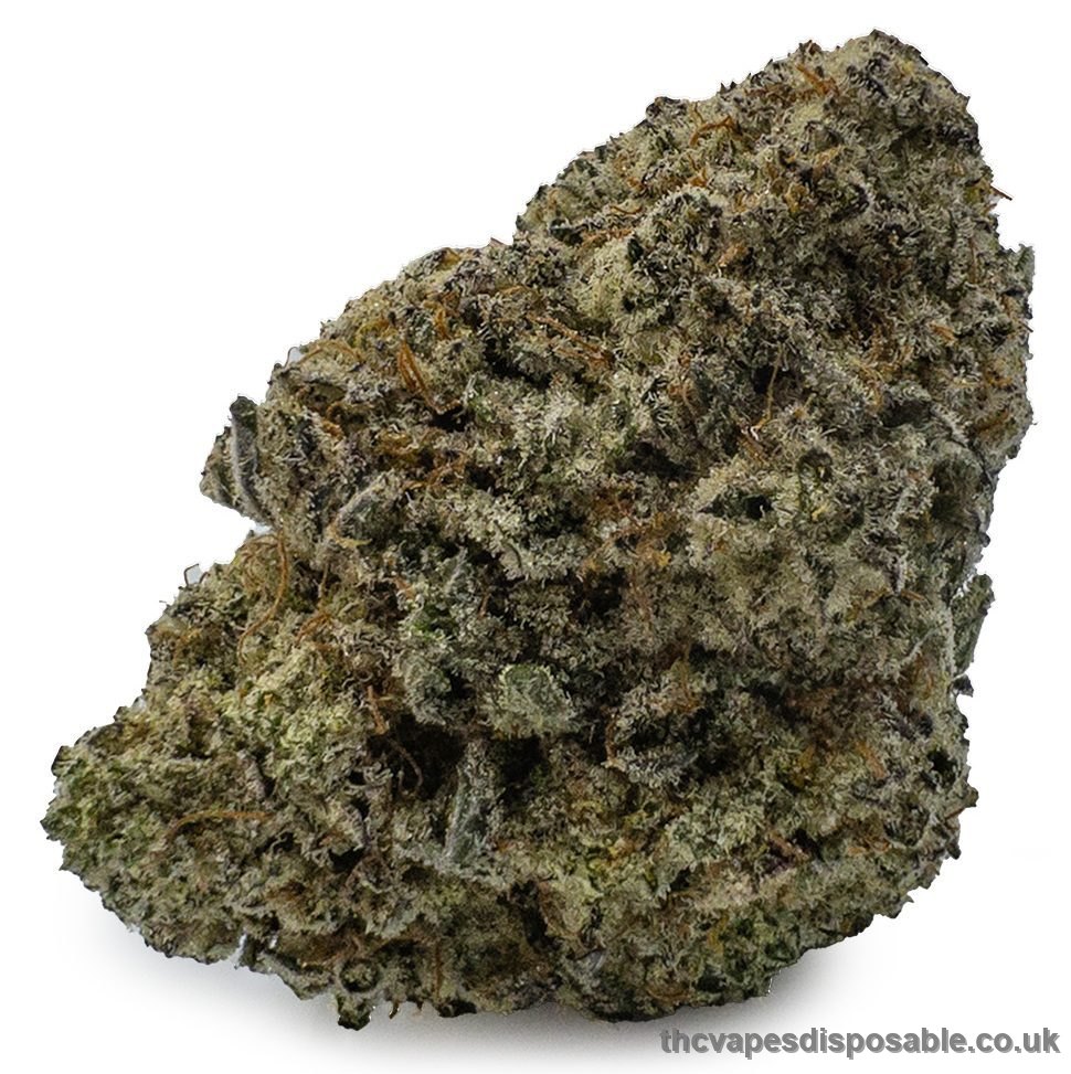 Dolato Marijuana Strain UK