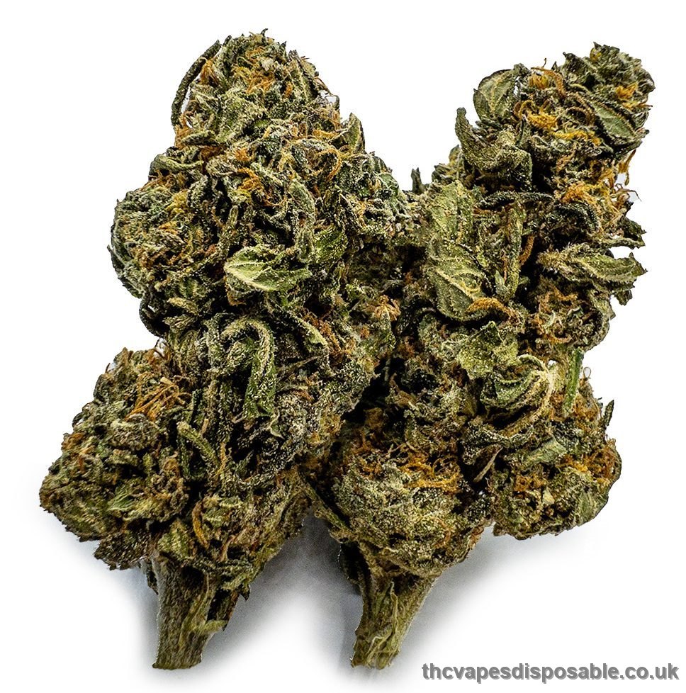 Double Dream Cannabis Strain UK