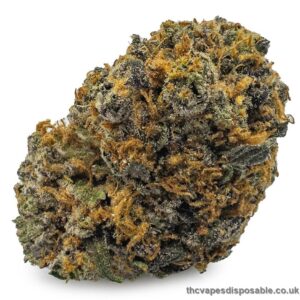 Forbidden Fruit Weed Strain UK