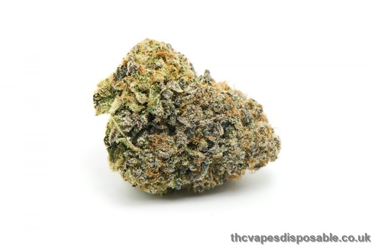 Forbidden Runtz Cannabis Strain UK