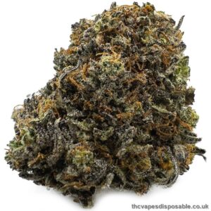 Funky Charms Cannabis Strain UK
