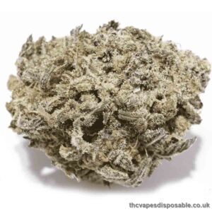 Gas Mask Marijuana Strain UK
