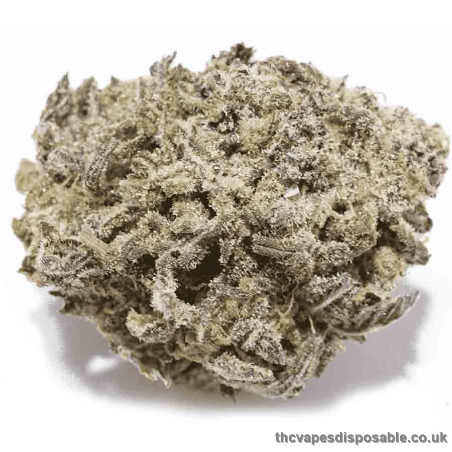 Gas Mask Marijuana Strain UK