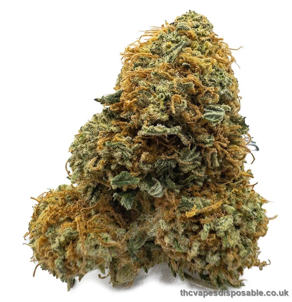 Gelato Runtz Weed Strain UK