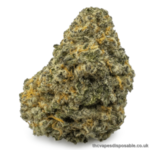 Gingerbread Cookies Weed UK