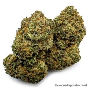 Girl Scout Cookies Weed UK