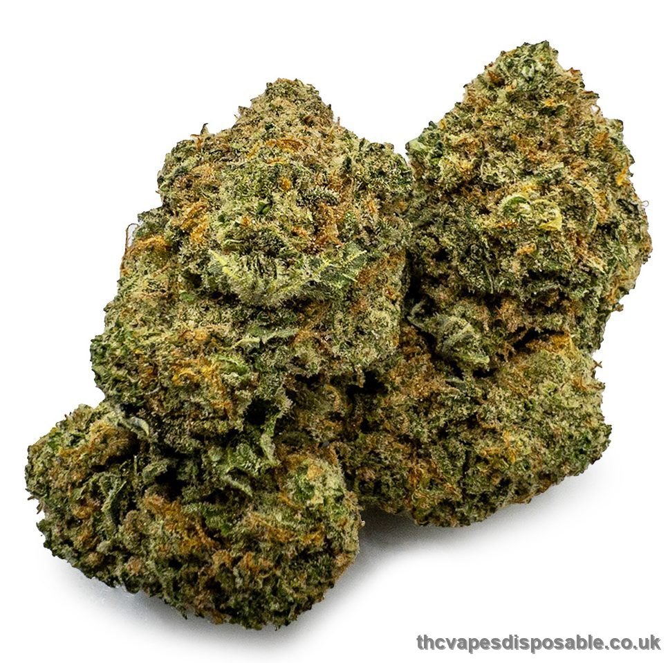 Girl Scout Cookies Weed UK