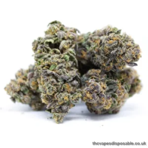 God’s Gift Marijuana Strain UK