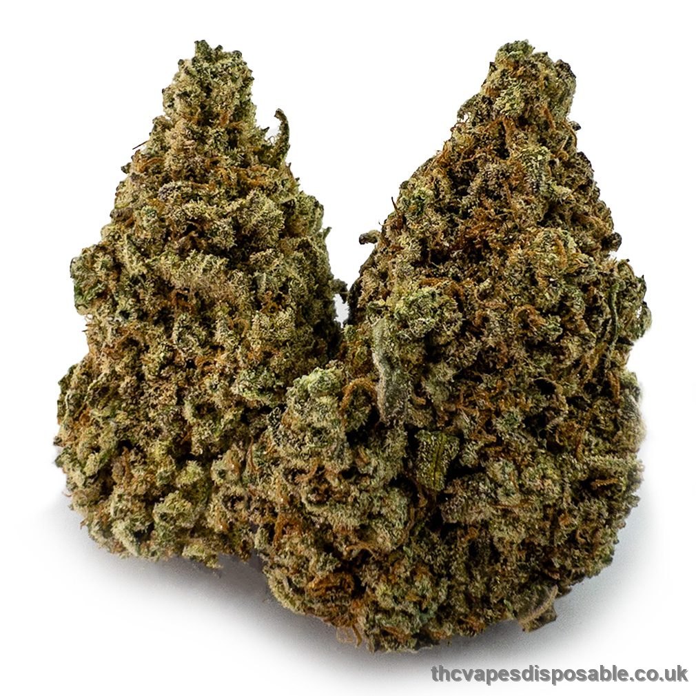 Gummy Bears Weed Strain UK
