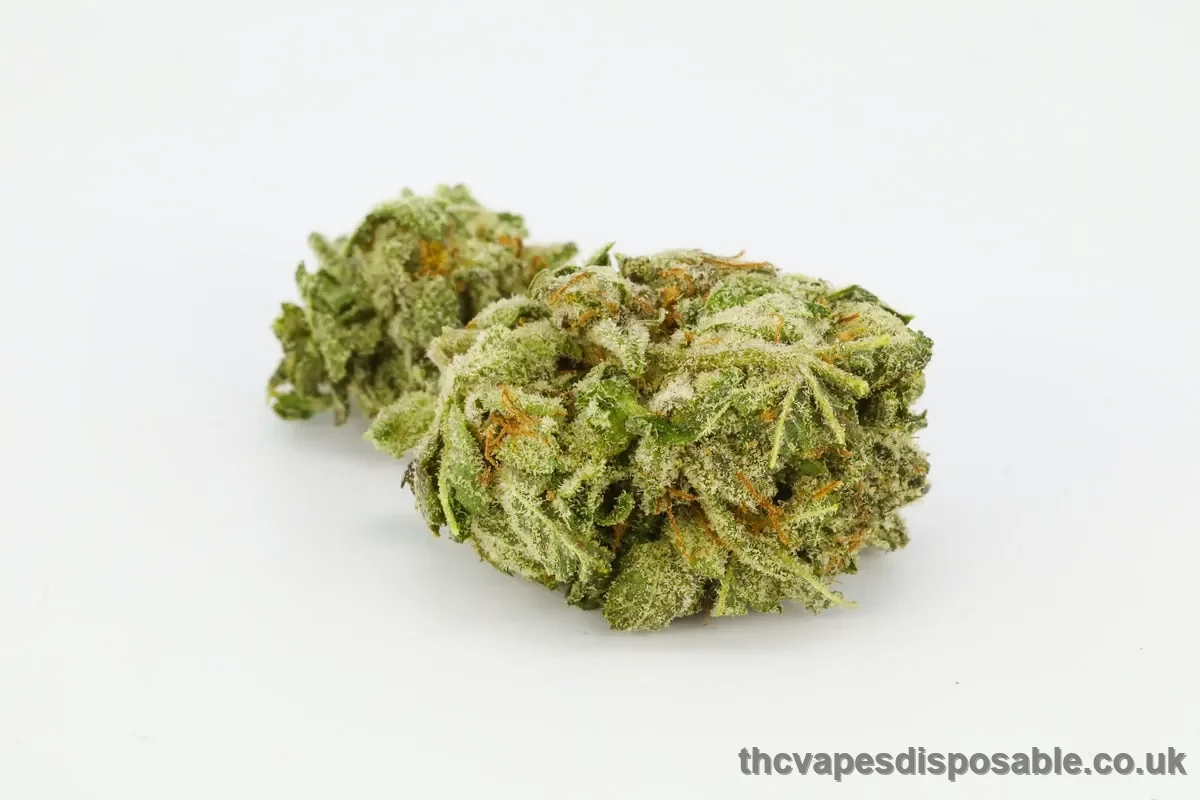 Hindu Kush Weed Strain UK