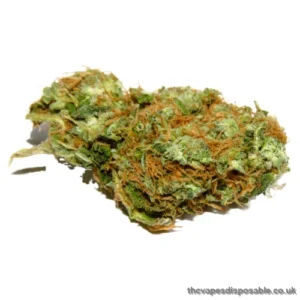Jet Puft Weed Strain UK