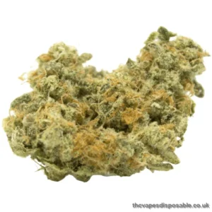 Kali 47 Marijuana Strain UK