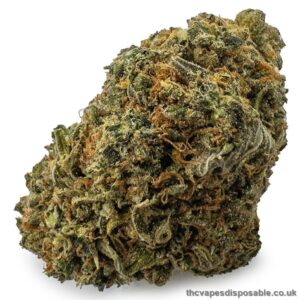 Lemon Sour Diesel Sativa UK