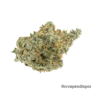 Master Kush Weed Strain UK