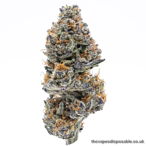 Northern Lights Weed Strain UK