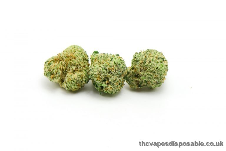 Pineapple Godbud Cannabis Strain UK