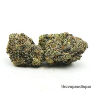 Platinum Oreo Weed Strain UK