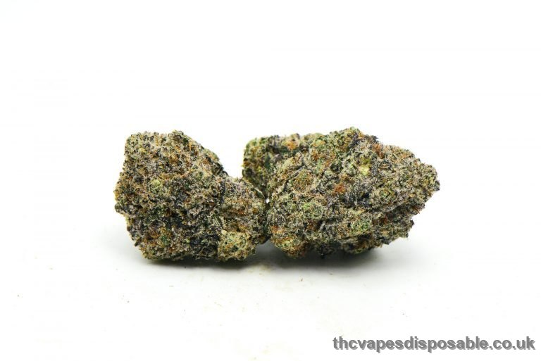 Platinum Oreo Weed Strain UK