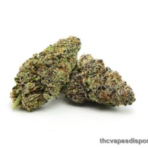 Purple Alien Kush Marijuana Strain UK