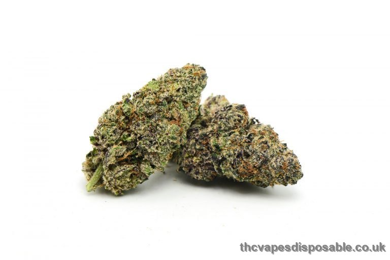 Purple Alien Kush Marijuana Strain UK