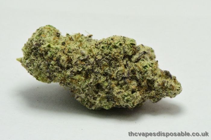 Purple MAC Cannabis Strain UK