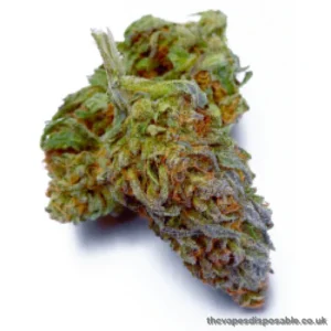 Purple Punch Weed Strain UK