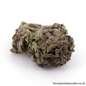 Purple Urkle Marijuana Strain UK