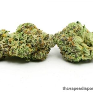 Rockstar Punch Hybrid Marijuana UK