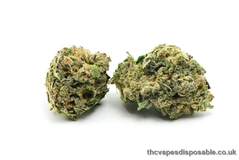 Tom Ford Pink Kush Marijuana Strain UK