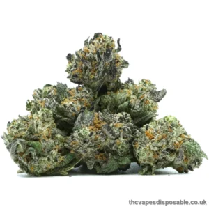 Trainwreck Popcorn Weed UK