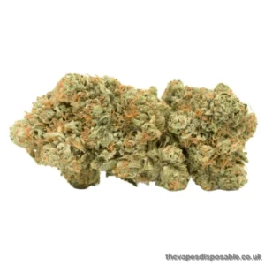 White LSD Marijuana Strain UK